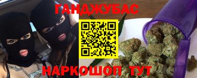 mdpv Гатчина
