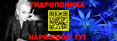 экстази Гай