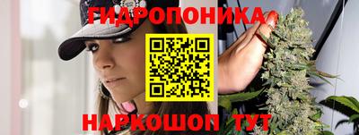 mdpv Гатчина