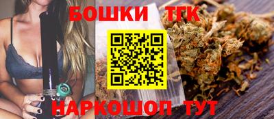 mdpv Гатчина