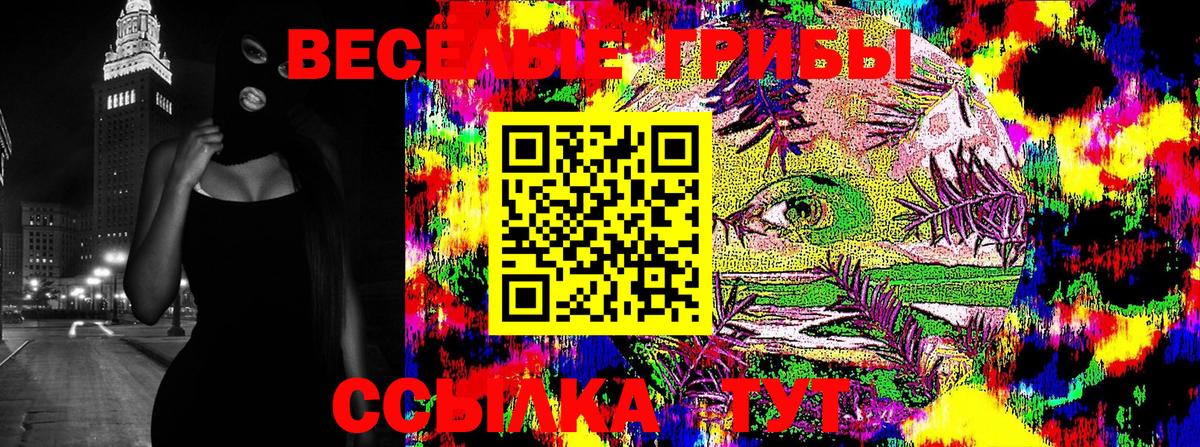 Галлюциногенные грибы Cubensis Мичуринск