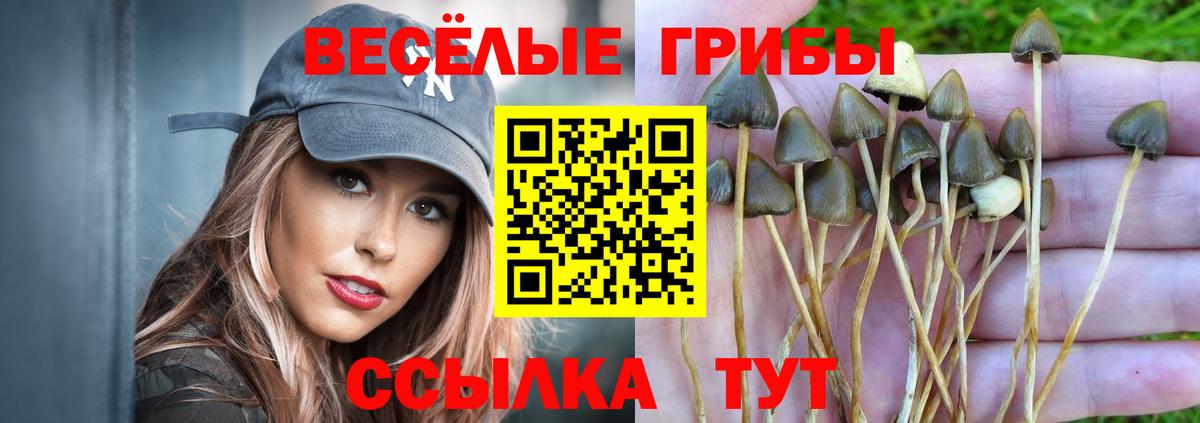 Галлюциногенные грибы Cubensis  Вход с VPN  где найти наркотики  Мичуринск 